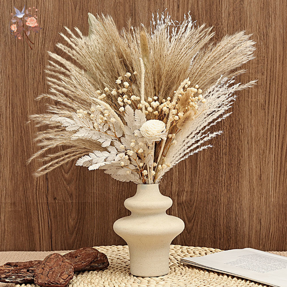 Dried Pampas Bundle - 40 조각 말린 팜파스 리드 야자