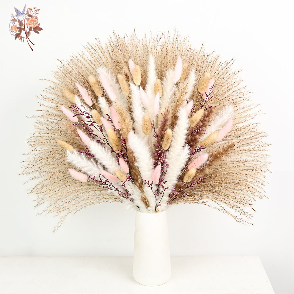 Dried Pampas Bundle - 푹신한 팜파스 토끼 꼬리풀 핑크색 드라이