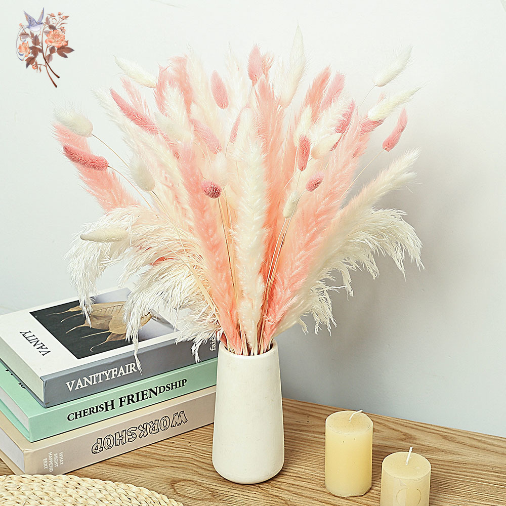 Dried Pampas Bundle - 62 조각 흰색 갈대 핑크 토끼