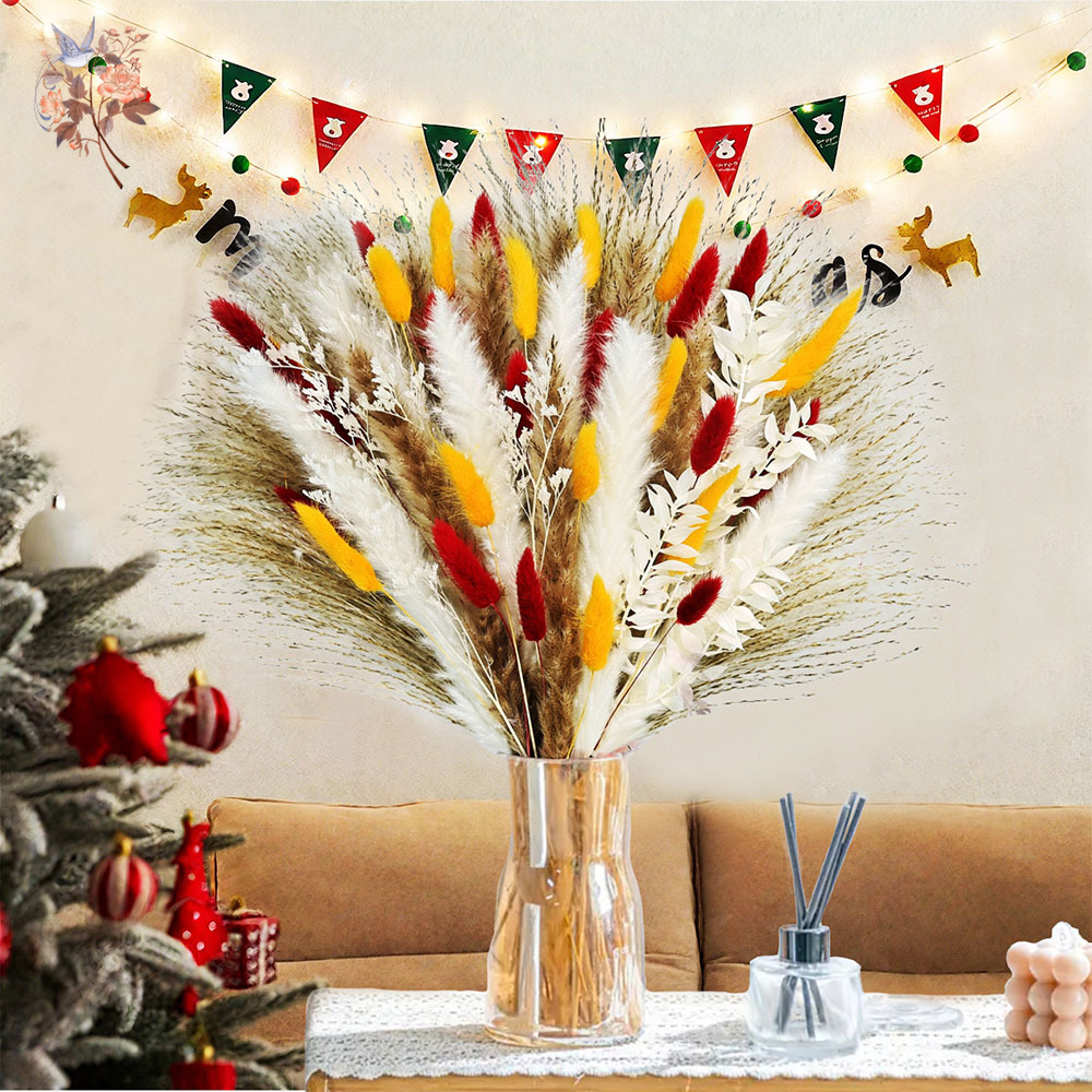Dried Pampas Bundle - 70개의 줄기로 이루어진 자연스러운 푹신한 팜파스