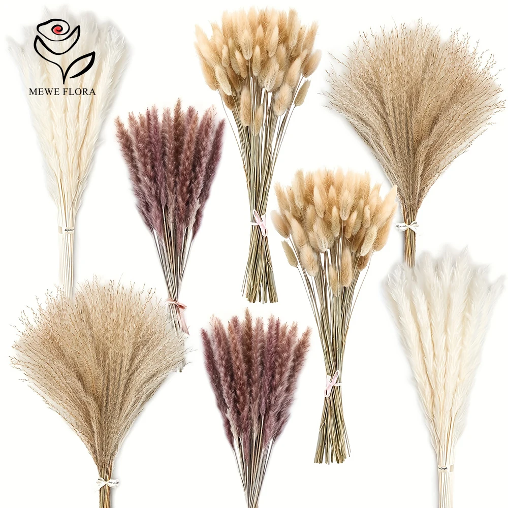 Dried Pampas Bundle - 200Pcs 말린 팜파스 토끼 꼬리 잔디