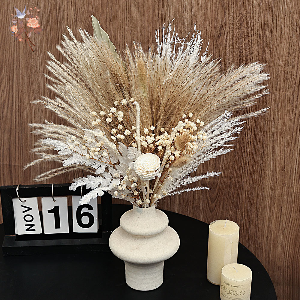40 조각 말린 팜파스 리드 야자 잎 번들 Boho C - Dried Pampas Bundle 리뷰 및 가격