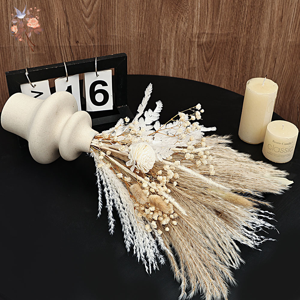 40 조각 말린 팜파스 리드 야자 잎 번들 Boho C - Dried Pampas Bundle 리뷰 및 가격