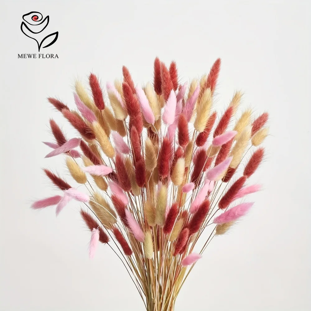 90pcs 혼합 3 색 토끼 꼬리 말린 꽃 팜파스 잔디 - Dried Pampas Bundle 리뷰 및 가격