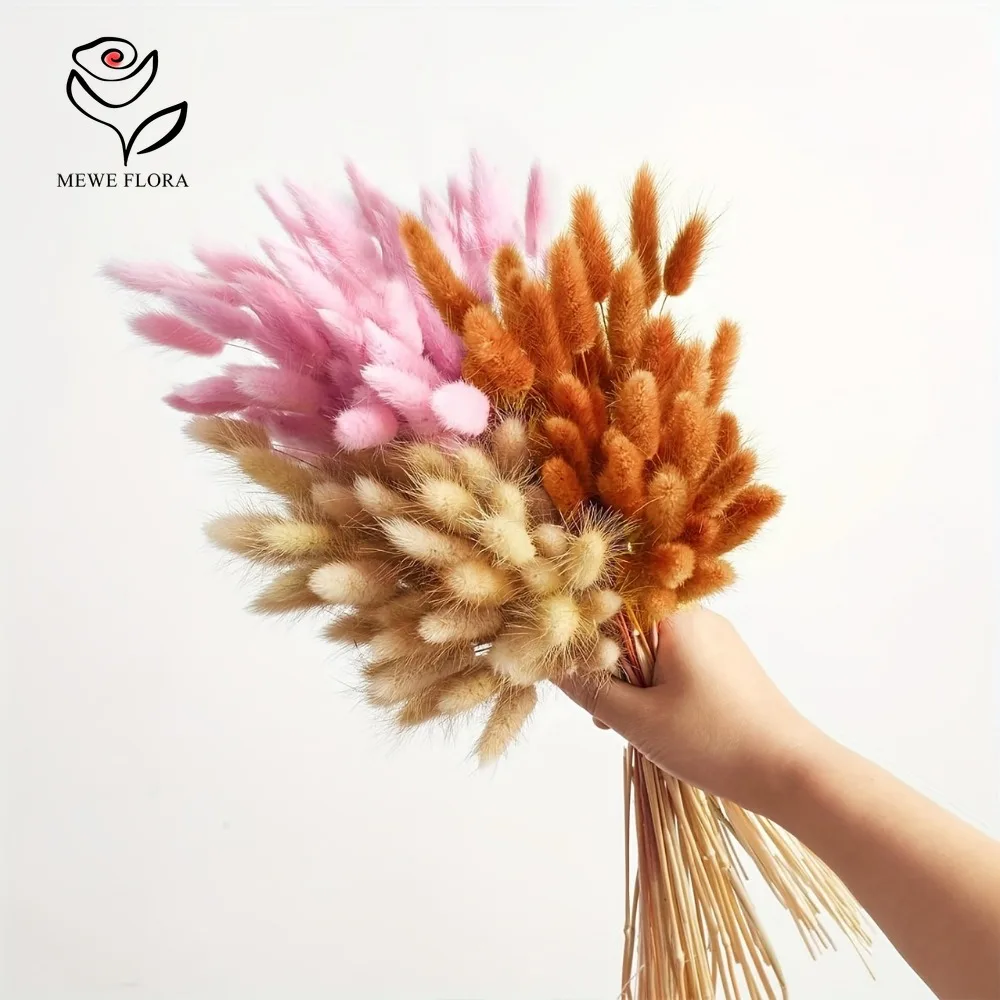 90pcs 혼합 3 색 토끼 꼬리 말린 꽃 팜파스 잔디 - Dried Pampas Bundle 리뷰 및 가격