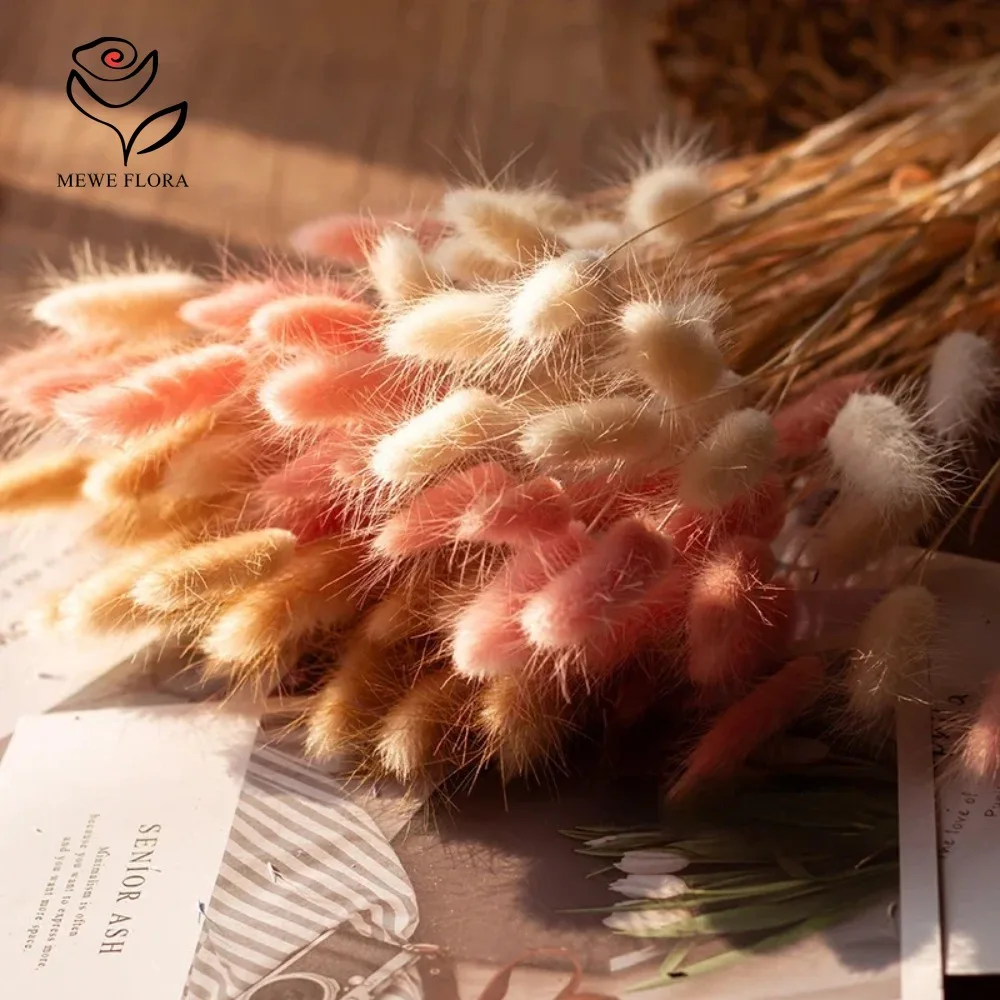 90pcs 혼합 3 색 토끼 꼬리 말린 꽃 팜파스 잔디 - Dried Pampas Bundle 리뷰 및 가격