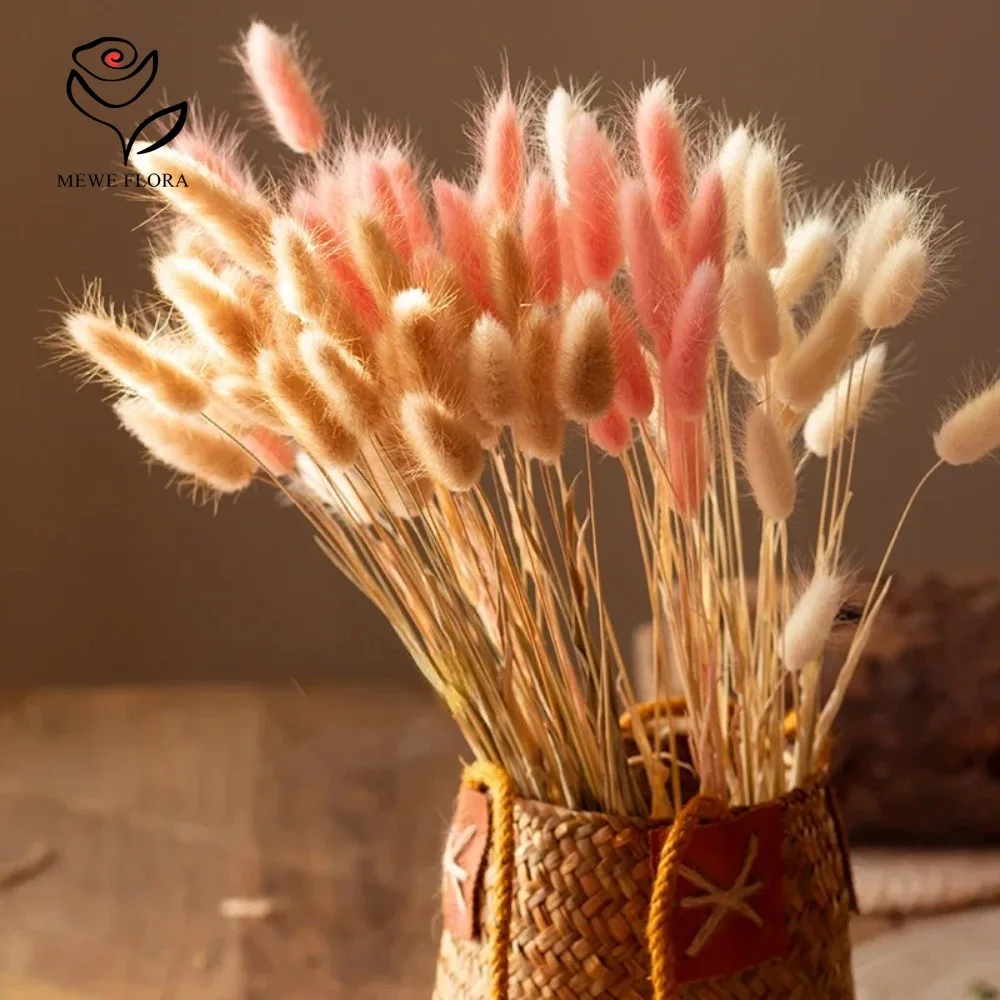 90pcs 혼합 3 색 토끼 꼬리 말린 꽃 팜파스 잔디 - Dried Pampas Bundle 리뷰 및 가격