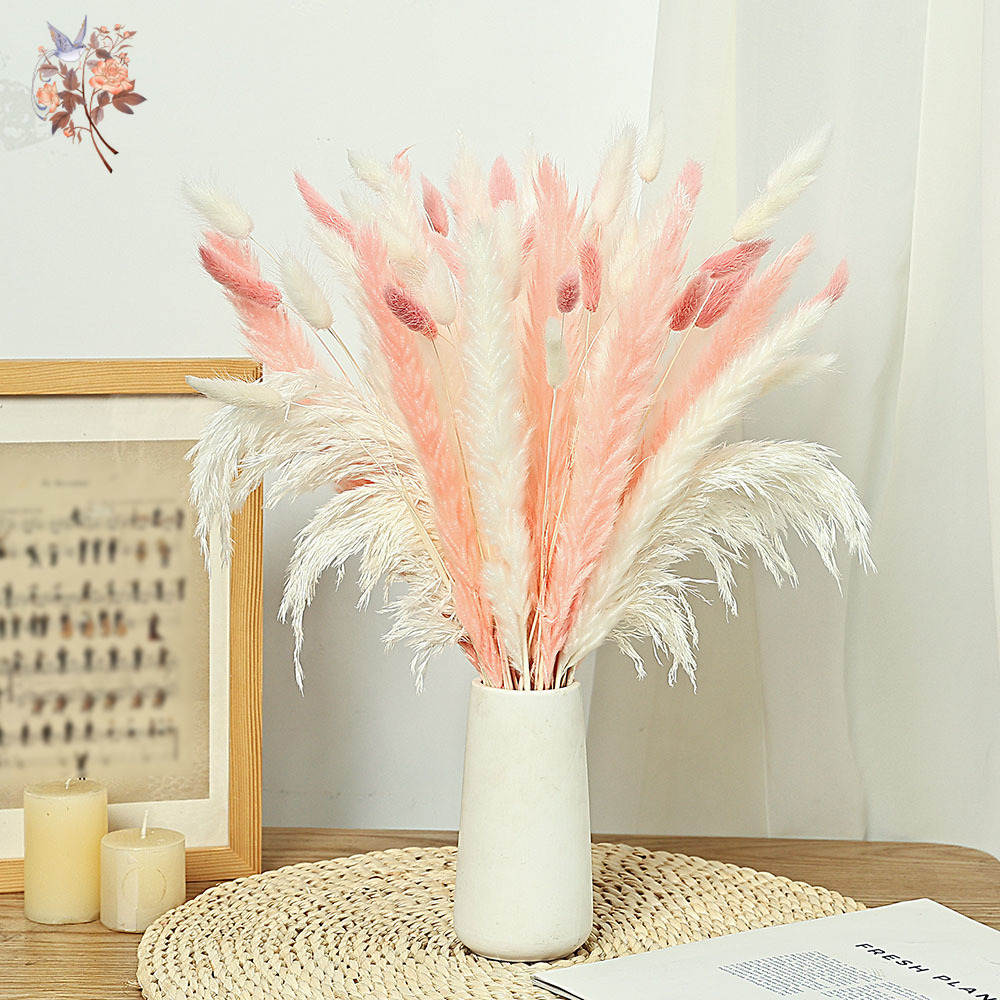 62 조각 흰색 갈대 핑크 토끼 꼬리 잔디 꽃다발 북유 - Dried Pampas Bundle 리뷰 및 가격