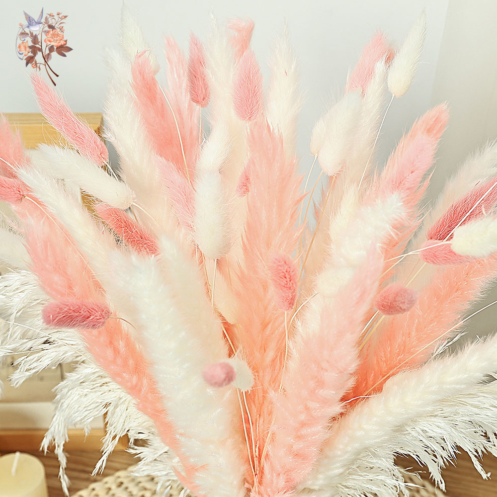 62 조각 흰색 갈대 핑크 토끼 꼬리 잔디 꽃다발 북유 - Dried Pampas Bundle 리뷰 및 가격
