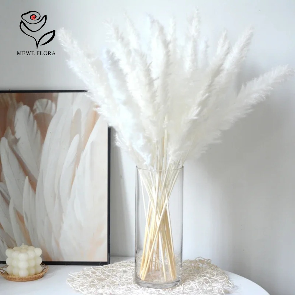 20개 풍성한 팜파스그래스 말린 꽃다발 자연 북유럽 스 - Dried Pampas Bundle 리뷰 및 가격