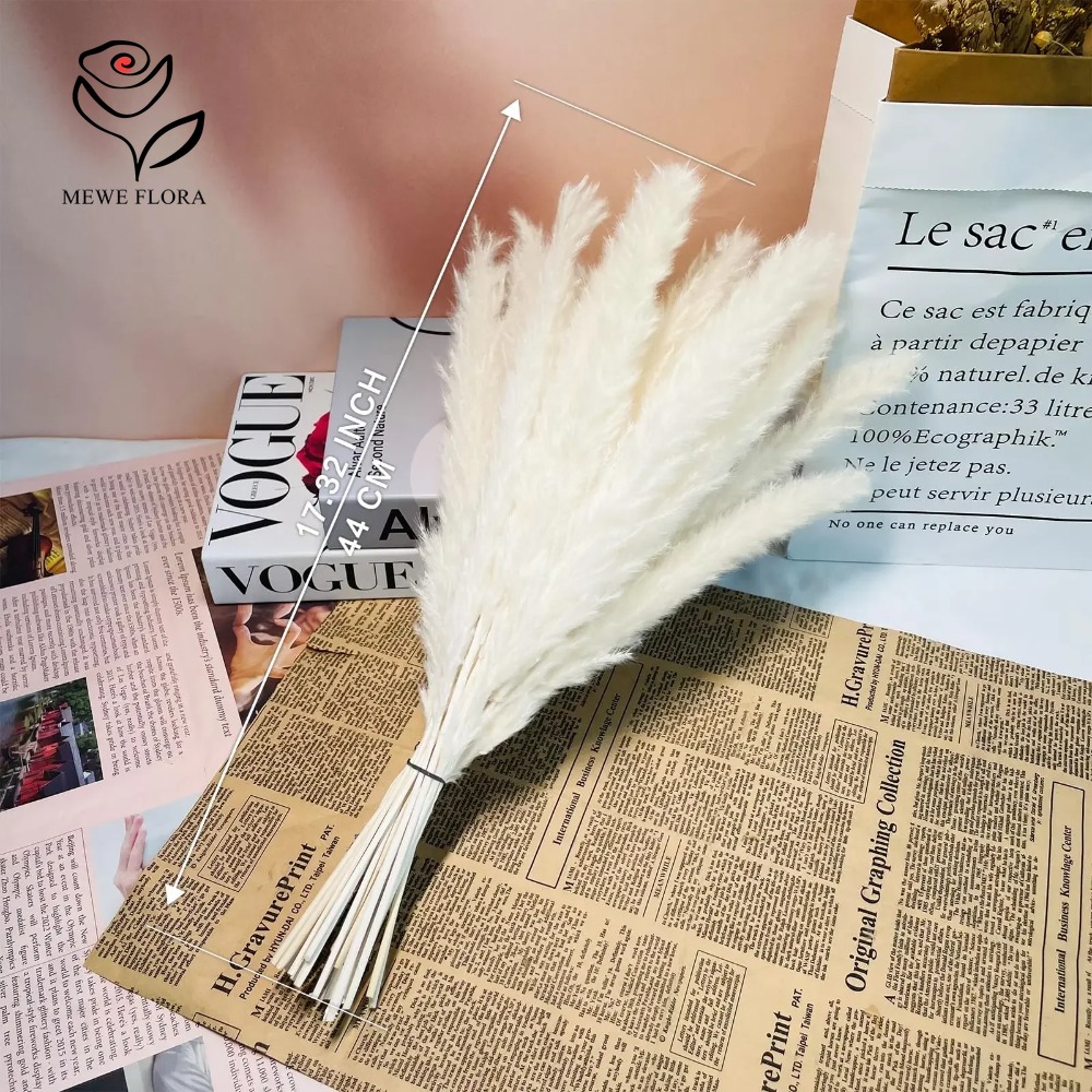 20개 풍성한 팜파스그래스 말린 꽃다발 자연 북유럽 스 - Dried Pampas Bundle 리뷰 및 가격