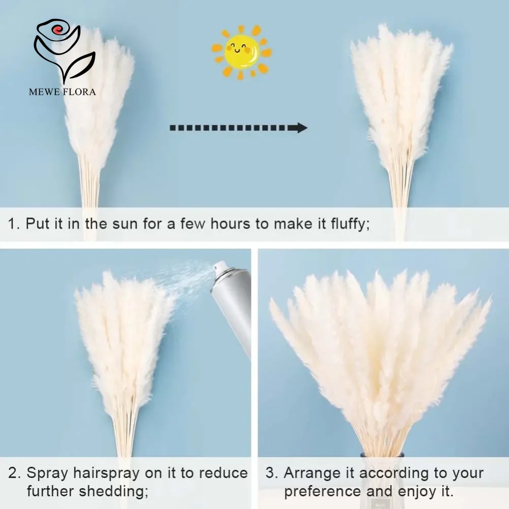 20개 풍성한 팜파스그래스 말린 꽃다발 자연 북유럽 스 - Dried Pampas Bundle 리뷰 및 가격