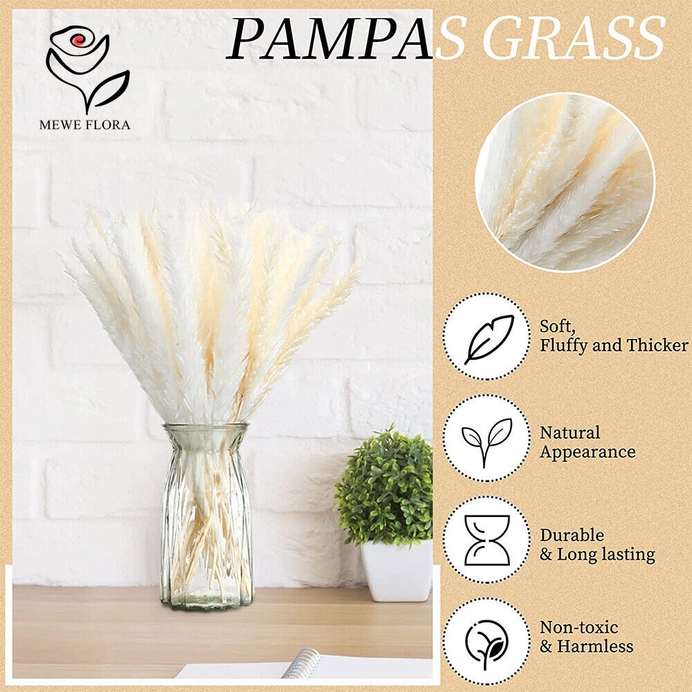 20개 풍성한 팜파스그래스 말린 꽃다발 자연 북유럽 스 - Dried Pampas Bundle 리뷰 및 가격