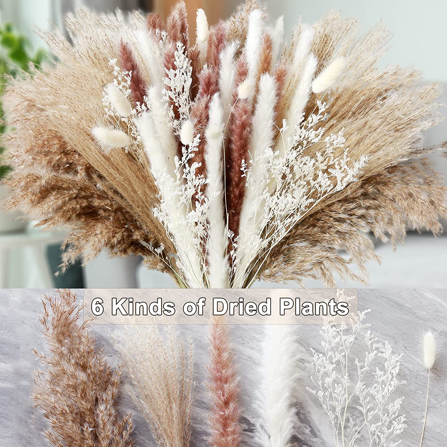 홈 테이블 장식용 건조 식물 꽃 천연 리얼 드라이 플랜 - Dried Pampas Bundle 리뷰 및 가격