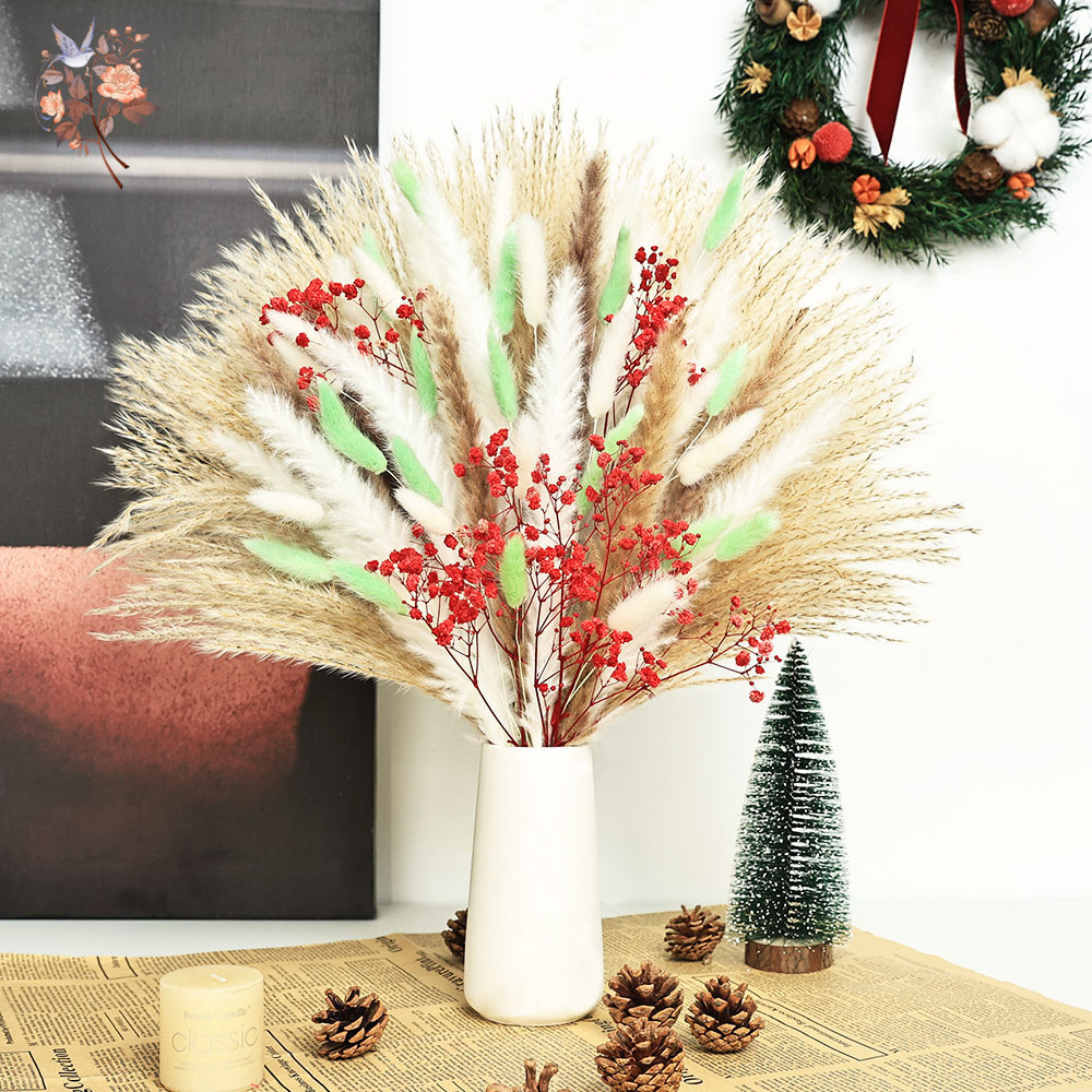 70줄기 푹신한 녹색 빨간 팜파스 그래스 다발 건조 꽃 - Dried Pampas Bundle 리뷰 및 가격
