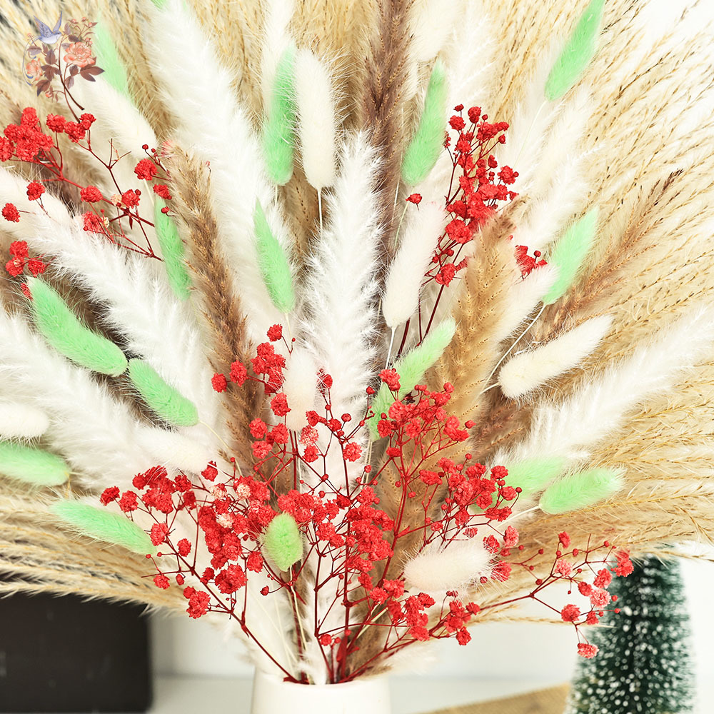 70줄기 푹신한 녹색 빨간 팜파스 그래스 다발 건조 꽃 - Dried Pampas Bundle 리뷰 및 가격