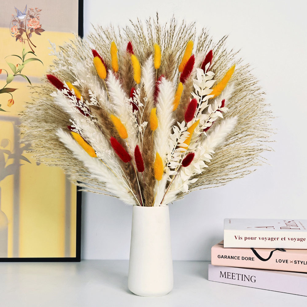 70개의 줄기로 이루어진 자연스러운 푹신한 팜파스 그래 - Dried Pampas Bundle 리뷰 및 가격