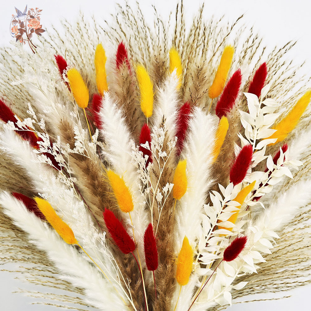 70개의 줄기로 이루어진 자연스러운 푹신한 팜파스 그래 - Dried Pampas Bundle 리뷰 및 가격