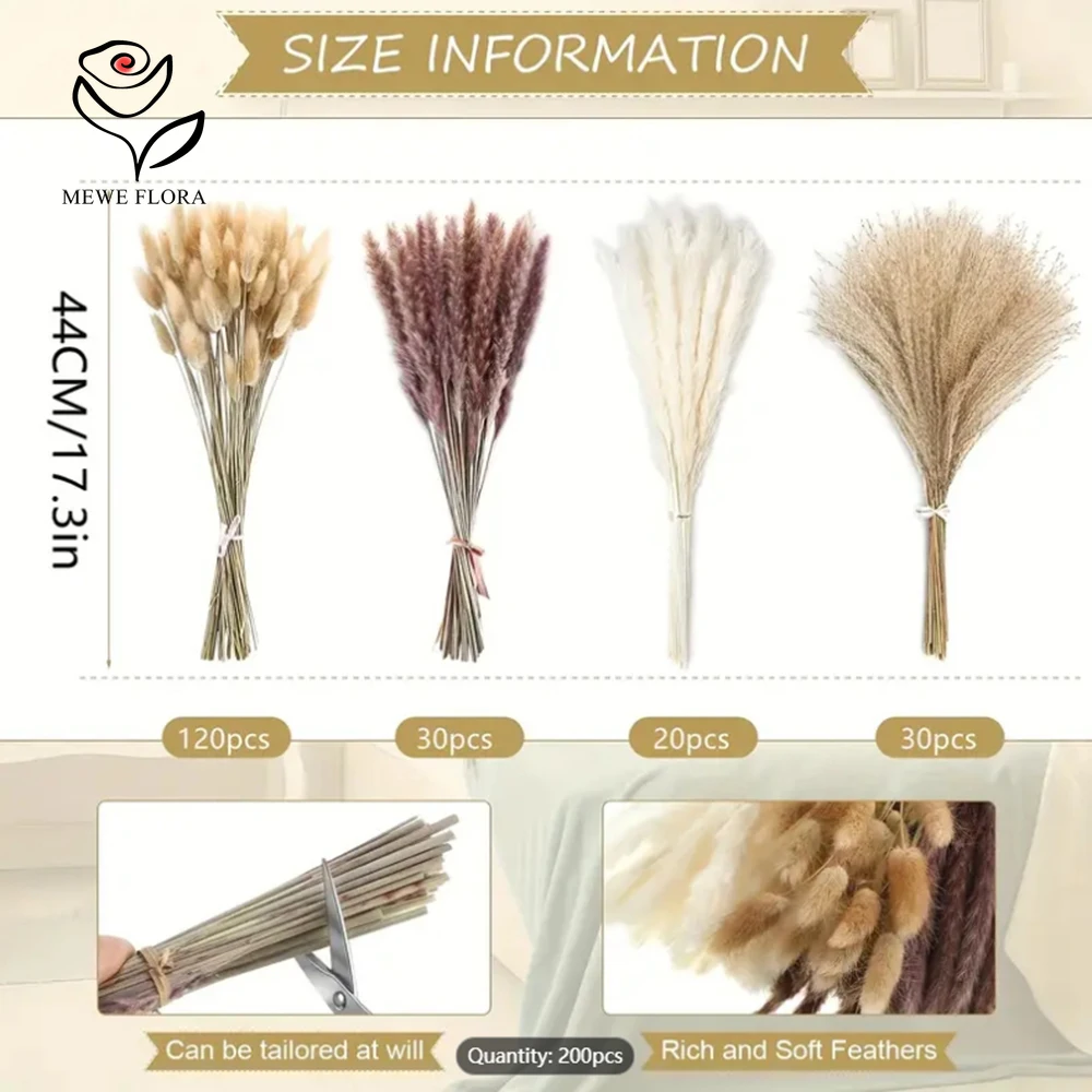 200Pcs 말린 팜파스 토끼 꼬리 잔디 큰 번들 꽃  - Dried Pampas Bundle 리뷰 및 가격